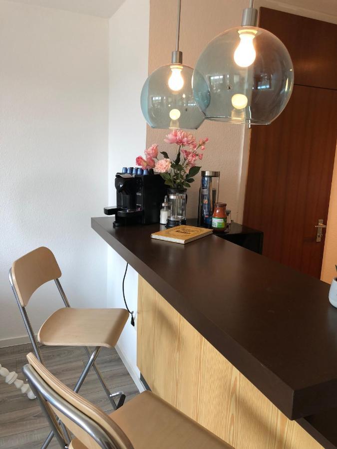 Grosses Appartement Mit Aussichtsbalkon Лудвигсбург Екстериор снимка